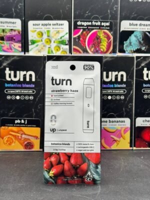 Buy Turn 2G Disposable