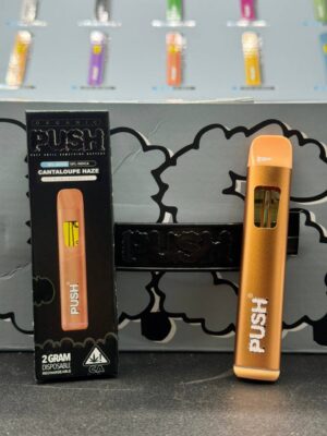 Push 2g disposable