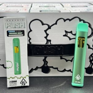 Push 2g disposable