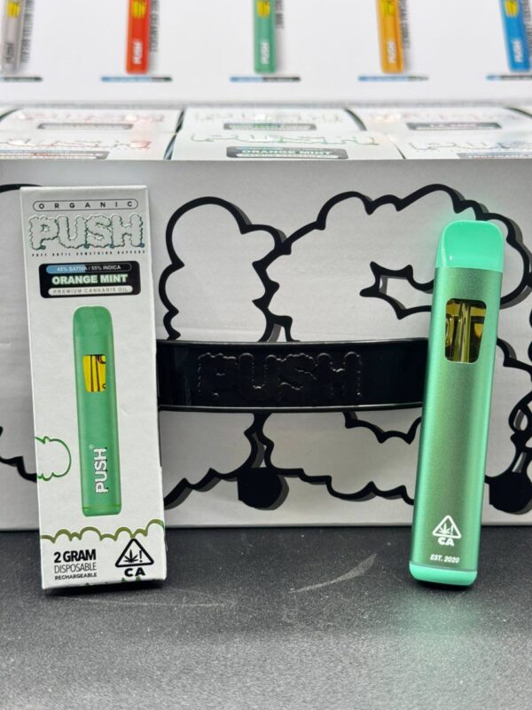 Push 2g disposable