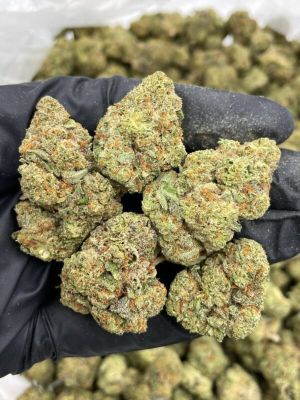 Cherry Stomper Mixed lights
