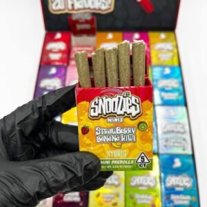 Snoozies Minis By Snooze (Authentic)