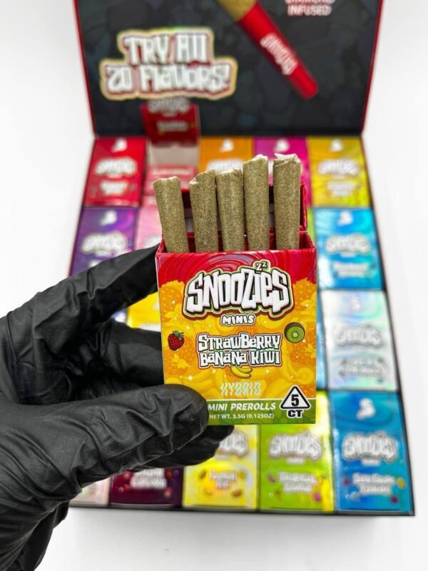 Snoozies Minis By Snooze (Authentic)