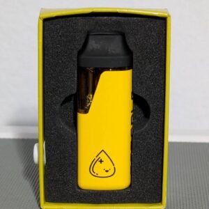 Kushie 2g Disposable