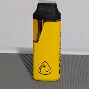 Kushie 2g Disposable