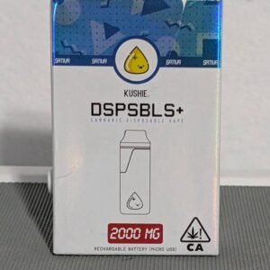 Kushie 2g Disposable
