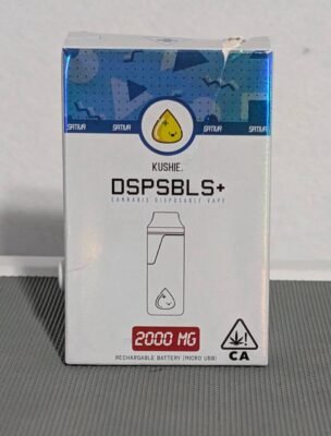 Kushie 2g Disposable