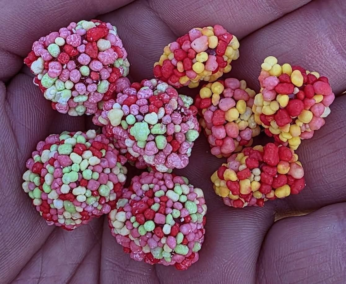5116151153530964907_121 Nerds Juicy Gummy Clusters