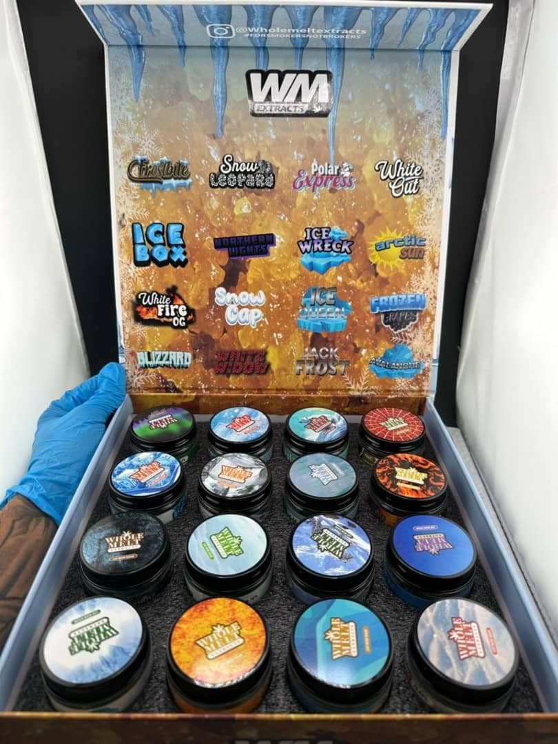 WHOLEMELT WINTER EDITION WHOLEMELT WINTER EDITION