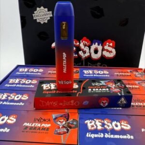 Besos Paleta Pop 2G Disposable