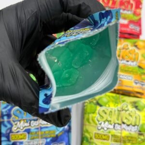 Squish Mini Gummies 500mg