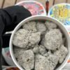 Growlers Snowcaps